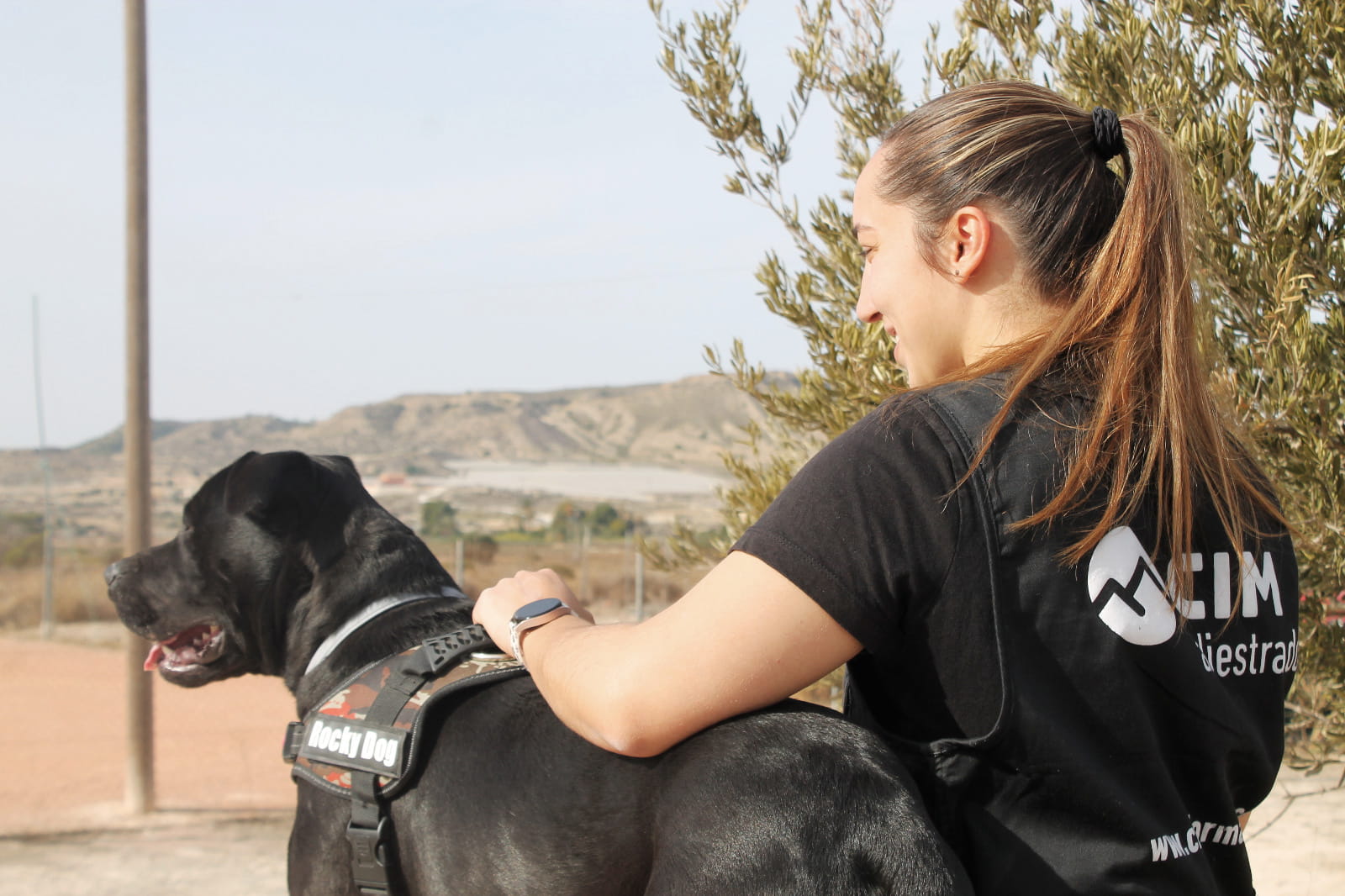 Adiestramiento canino