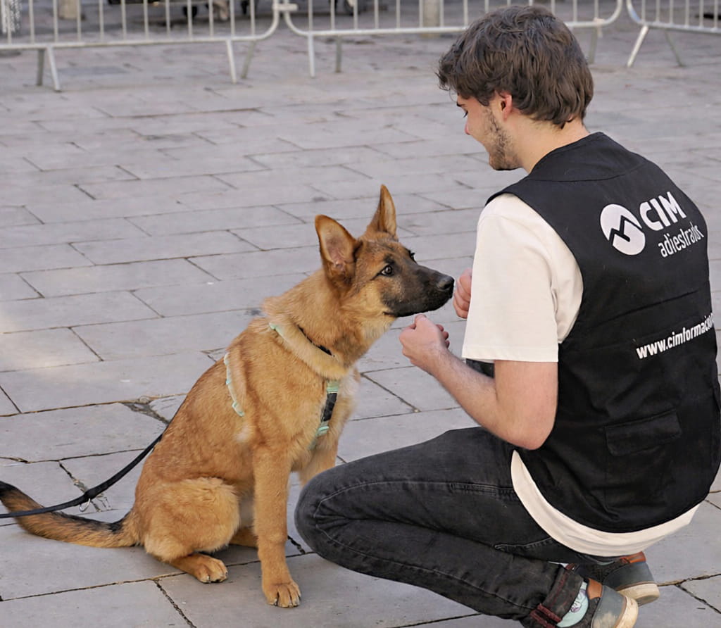 Alumno de adiestramiento 2