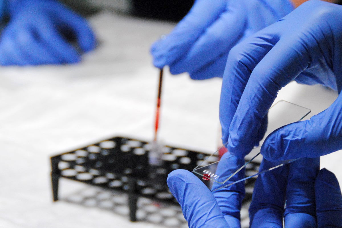 Laboratorio veterinario