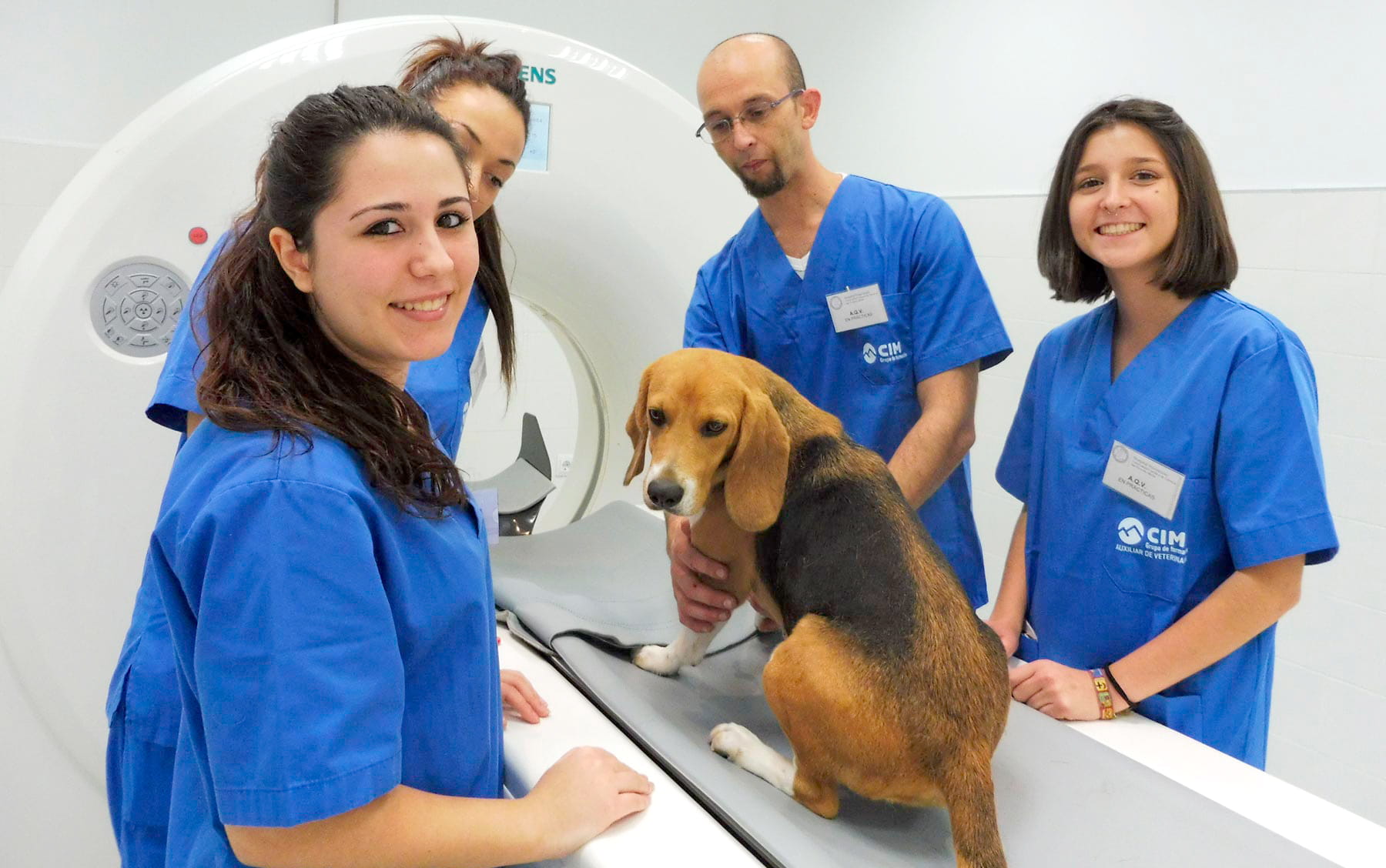 Asistencia veterinaria 2