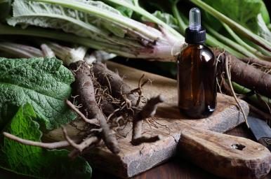 Fitoterapia avanzada