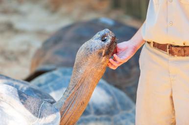 Bienestar animal en núcleos zoológicos