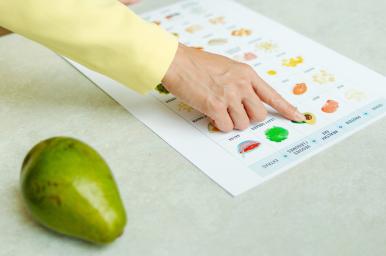 Dietética y nutrición online