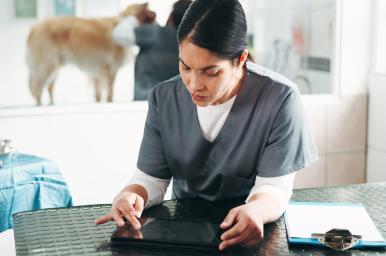 Marketing y gestión de establecimientos de animales online