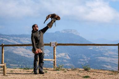 Cuidados de animales salvajes, de zoológicos y acuarios (Oficial)