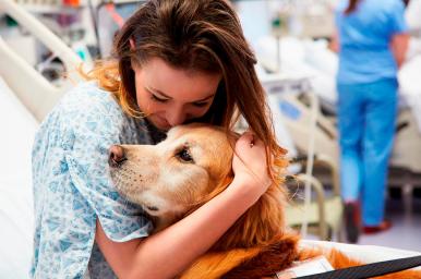 Terapia asistida con animales online