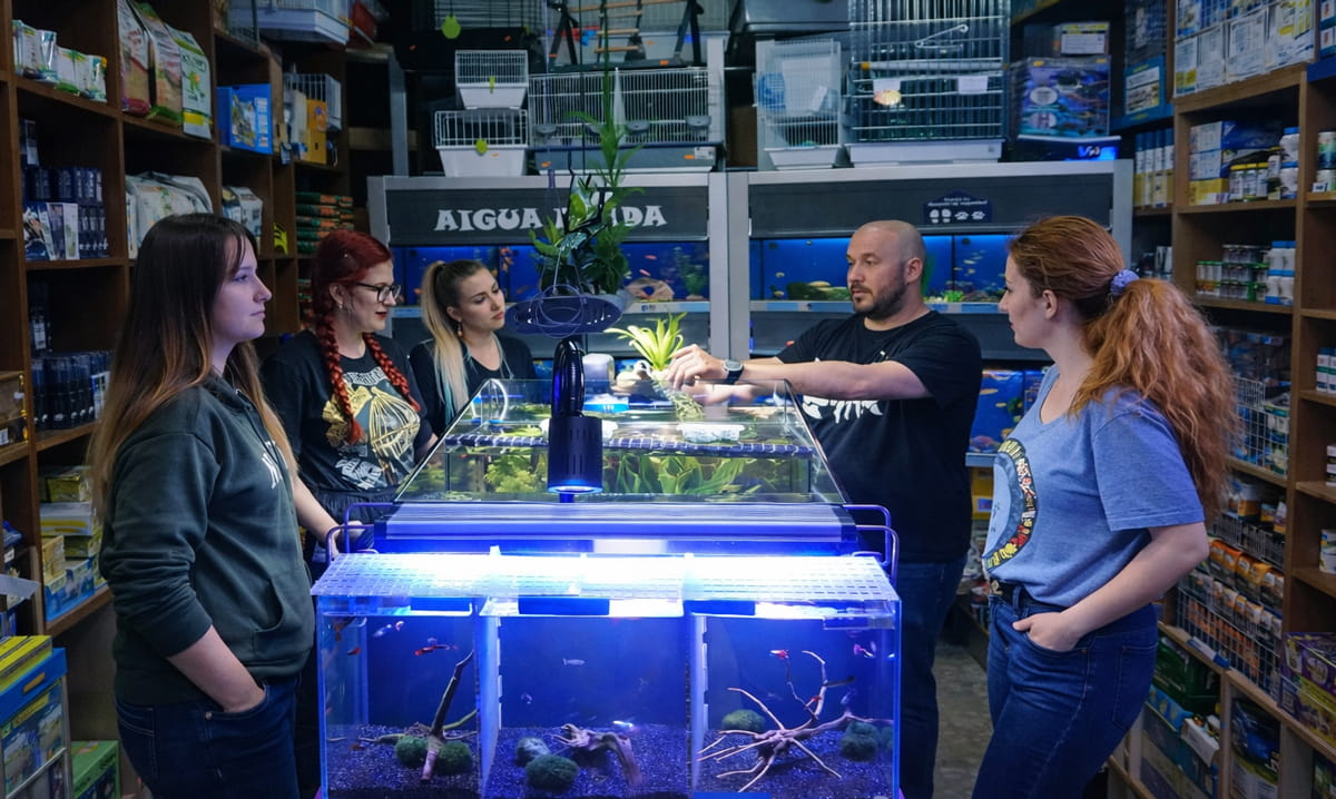 Clase de acuariofilia