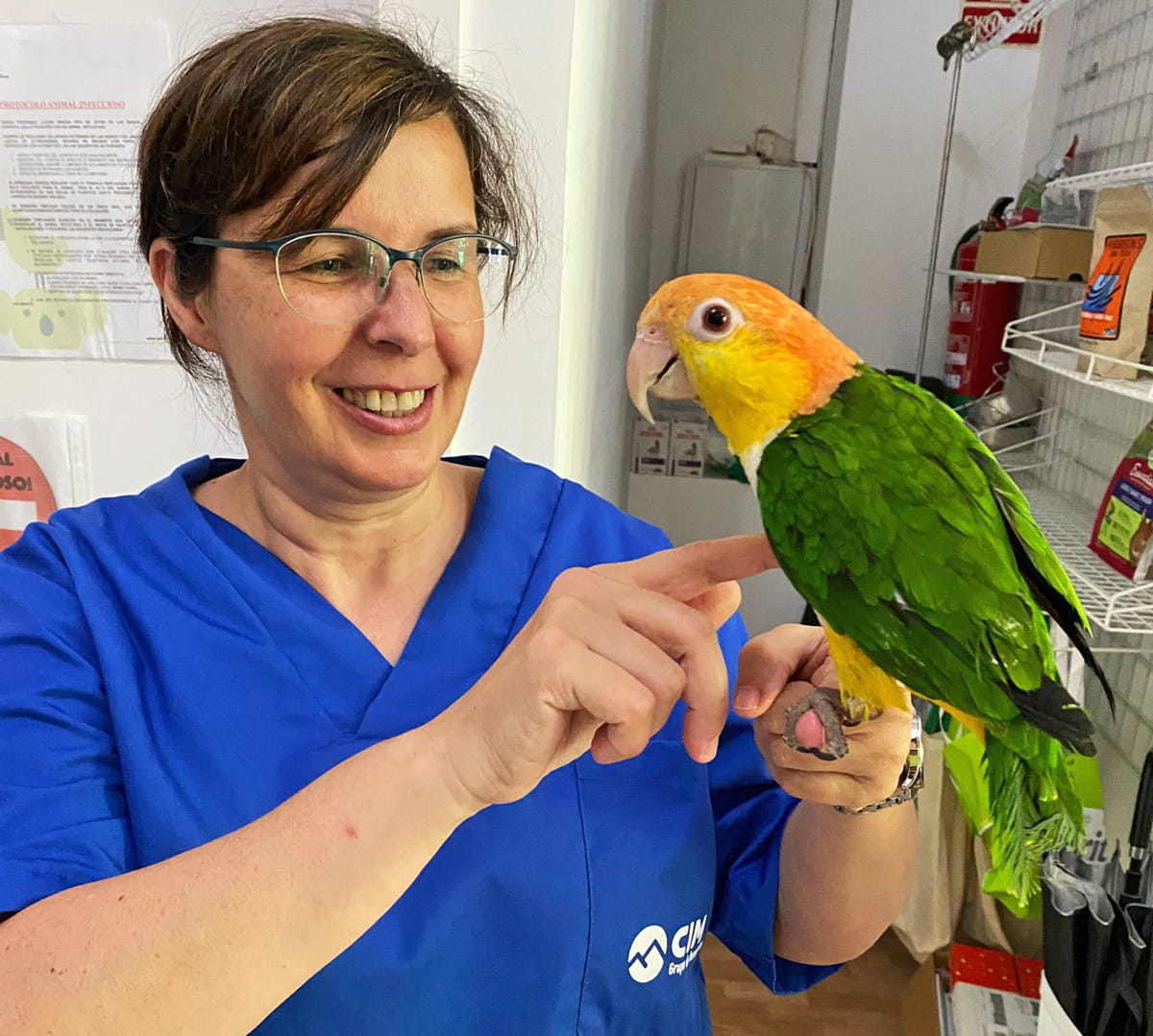 Alumna aves exoticas