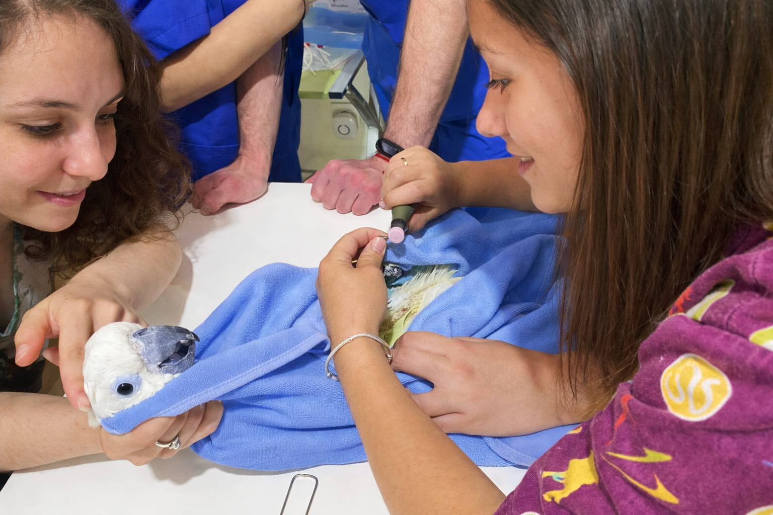 Alumnas clase aves exóticas