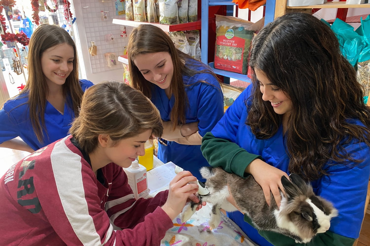 Alumnas clase pequeños mamíferos
