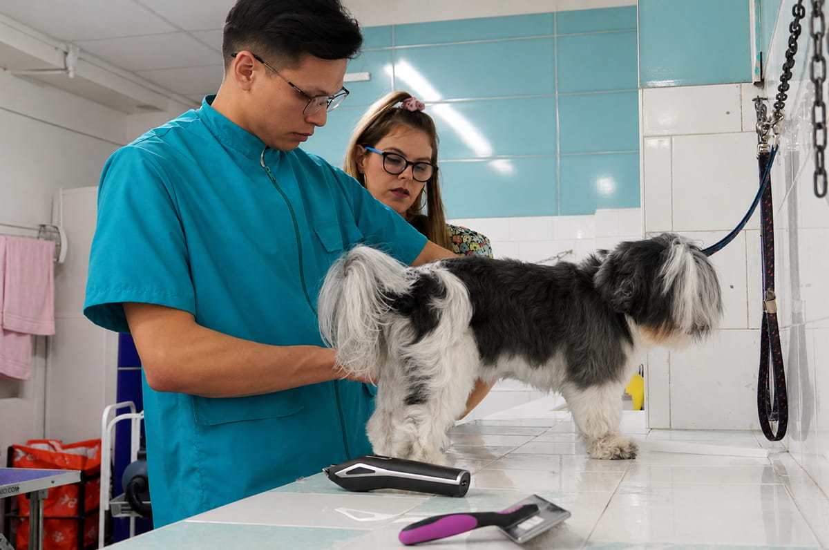 Peluquería avanzada