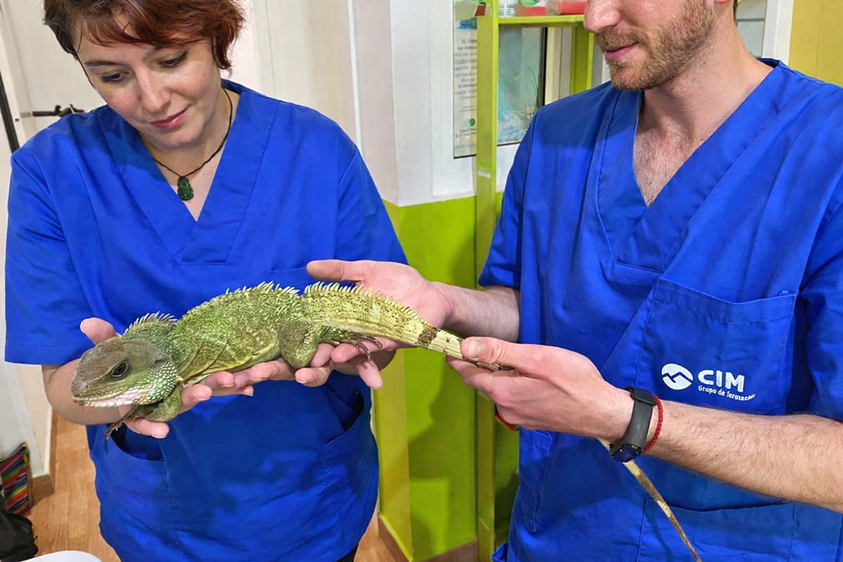 Clase alumnos Reptiles