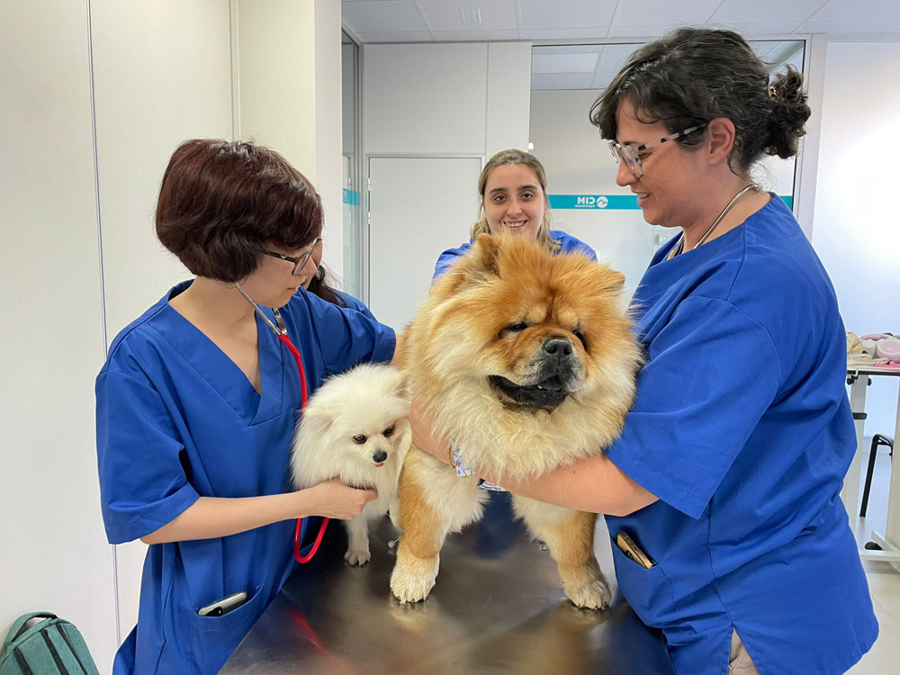 Tu futuro profesional empieza aquí