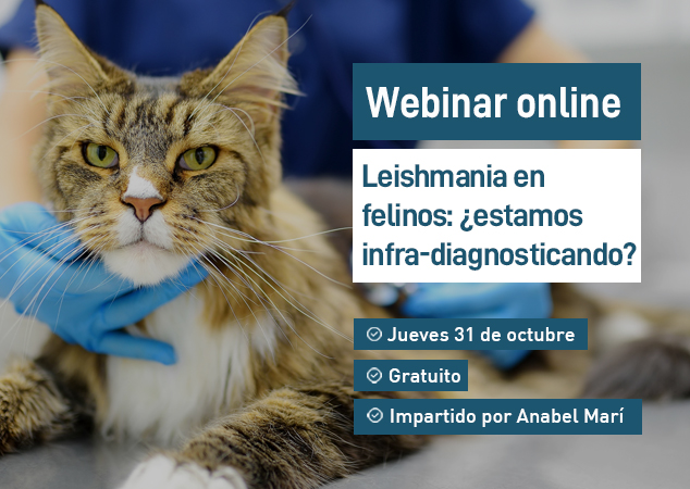 Próximo webinar veterinario