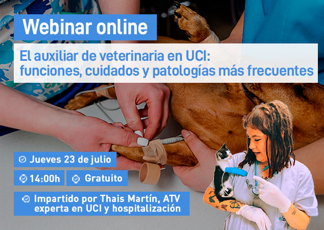 Próximo webinar veterinario