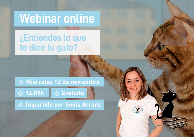 Próximo webinar veterinario