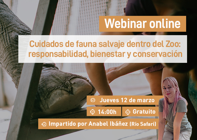 Próximo webinar veterinario