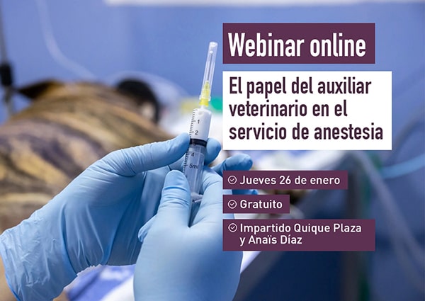 Próximo webinar veterinario