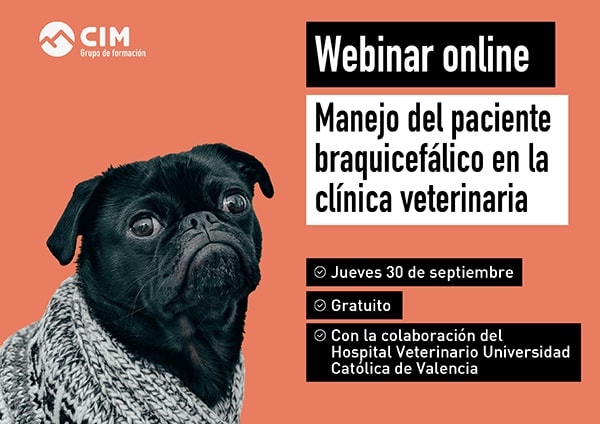 Webinar braquicéfalos