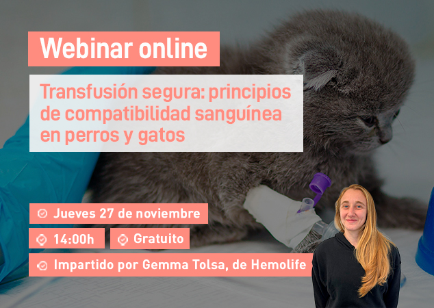 Próximo webinar veterinario