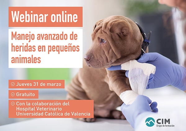 Webinar heridas pequeños animales