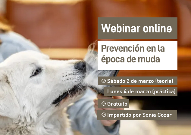 Próximo webinar veterinario