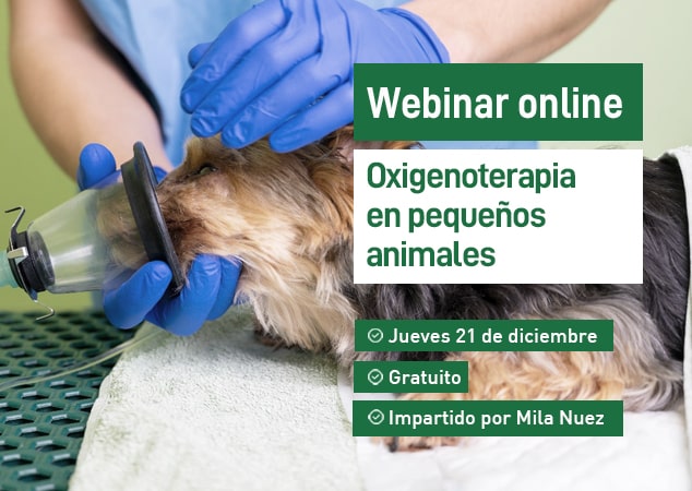 Próximo webinar veterinario