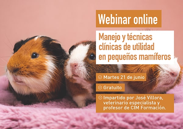 Webinar pequeños mamíferos