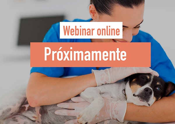 Próximo webinar veterinario