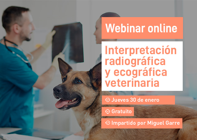Próximo webinar veterinario