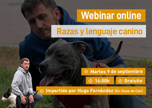 Próximo webinar veterinario