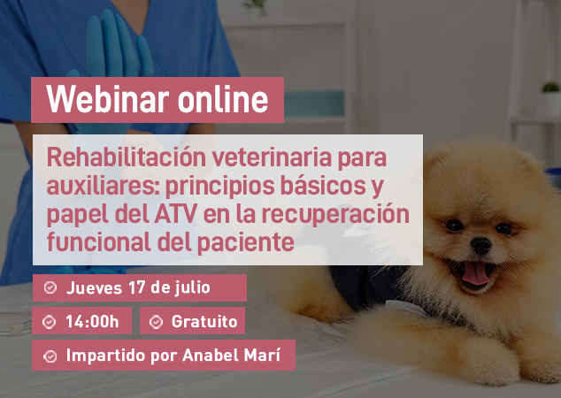 Próximo webinar veterinario
