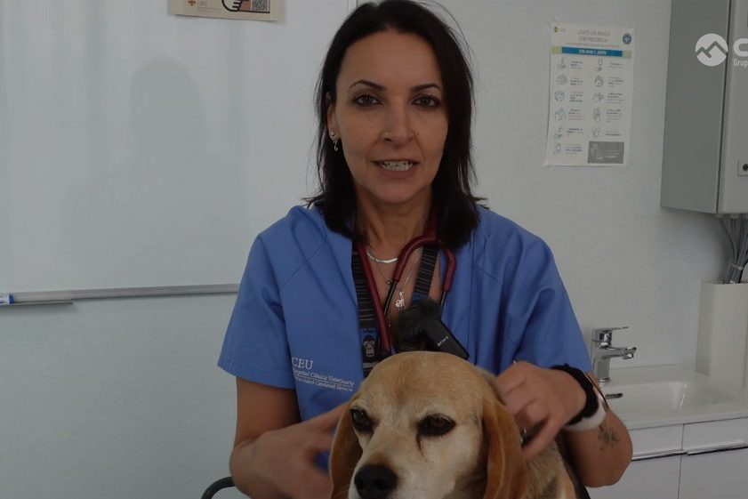 Testimonio de Luisa Martínez, estudiante del curso de Auxiliar Técnico veterinario en CIM Testimonio de Luisa Martínez, estudiante del curso de Auxiliar Técnico veterinario en CIM